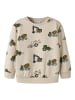 name it Sweatshirt in Peyote1