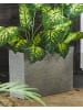 Beliani Outdoor Blumentopf EDESSA in Grau - (W) 60 x (H) 45 x (L) 25 cm