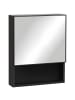 Kleankin Spiegelschrank-46L x 13,5B x 58H cm-Schwarz
