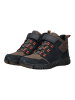 Geox Stiefelette Blau/Braun