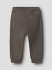 name it Hose in Morel