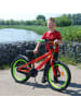Volare Kinderfahrrad Rocky Fahrrad für Jungen 16 Zoll Kinderrad in Rot 4 Jahre