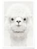 Juniqe Poster "Smiling Alpaca" in Weiß