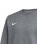 Nike Sweatshirt in Grau