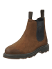 GANT Footwear Stiefelette in Braun/Schwarz