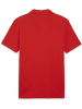 Puma Polo "TeamGoal CasuaLongsleeve Polo" in Rot