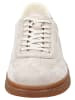 GANT Footwear Sneaker in Taupe