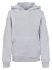 F4NT4STIC Hoodie Basketball Adler in grau meliert