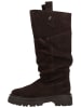 Steve Madden Stiefel KIONA in Dunkelbraun