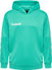 Hummel Hummel Poly Kapuzenpullover Hmlpromo Multisport Kinder in ATLANTIS