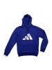 adidas Hoodie Future Icons 3-Streifen in Blau