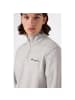 Champion Sweatshirt Half Zip Sweatshirt in Grau