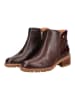 Pikolinos Stiefelette MEDINA W0D in Hellbraun