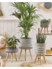 Beliani Outdoor Blumentopf MALAKI in Grau/Weiß/Braun - (W) 44 x (H) 61 x (L) 44 cm