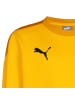 Puma Sweatshirt TeamGOAL 23 in gelb / dunkelgelb