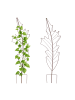 relaxdays 2 x Rankgitter "Blatt" in Braun - (B)30 x (H)100 cm