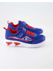 Geox Klettschuhe in Blau