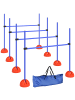 Pawhut Hunde Agility Set Blau Kunststoff