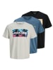 Jack and Jones 3er Pack T-Shirts Indiana Tee Crew-Neck in Mehrfarbig