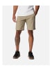 Columbia Shorts in Braun