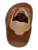 KOEL Sneaker Low BLAKE SUEDE in braun