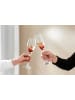 Villeroy & Boch 20er Set Wein- und Sektgläser La Divina in transparent