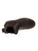 PANAMA JACK Chelsea-Boots Beny Igloo in Braun
