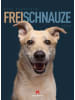 Ackermann Kunstverlag Kalender - Frei Schnauze Kalender 2026