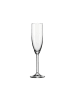 LEONARDO 12er Set Sektglas Daily in 200 ml in transparent
