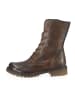 Felmini Stiefelette CASTER in Braun