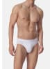 Schiesser Mini Slip / Unterhose 95/5 Organic Cotton in Weiß