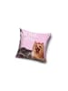 Disney Hund Kissenbezug 40*40 cm
