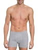 Haasis Bodywear 3er-Set: Pants in graumeliert