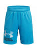 Under Armour Shorts für Jungen in blau