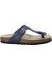 Josef Seibel Zehentrenner Hermine 02 in blau