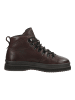 GANT Footwear Stiefelette Dunkelbraun