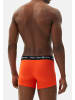 Westmark London Retro Short / Pant Oscar in Orange / Khaki / Bordeaux