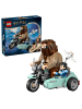 Spin Master Harry Potter 76443 Hagrids und Harrys Motorradtour