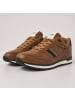 British Knights Sneaker Classor in cognacfarben/schwarz/weiss