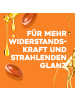 OGX Shampoo "Keratin Oil" 6er-Pack (6x 385 ml)