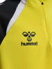 Hummel Kinder Trainingsjacke "Lead 2.0 Half Zip" in Gelb