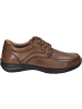 Josef Seibel Halbschuh New Anvers 62 in braun