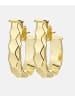 Vanlere Creolen aus 375 Gelbgold