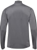 Hummel Trainingsjacke "Te Strength Pl Half Zip" in Grau