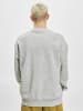 Champion Champion Hoodie in grey