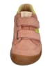 KOEL Sneaker Low BALI SUEDE 3.0 in rosa