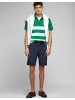 HECHTER PARIS Poloshirt in green