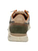 Cetti Sneaker Low in Oliv