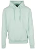  Cayler & Sons  Cayler & Sons Kapuzenpullover in bird's egg green