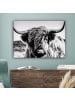 MuchoWow Leinwand bilder Schottisches Hochlandrind (BxH)